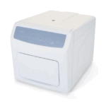real time PCR