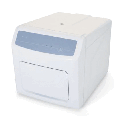 real time PCR